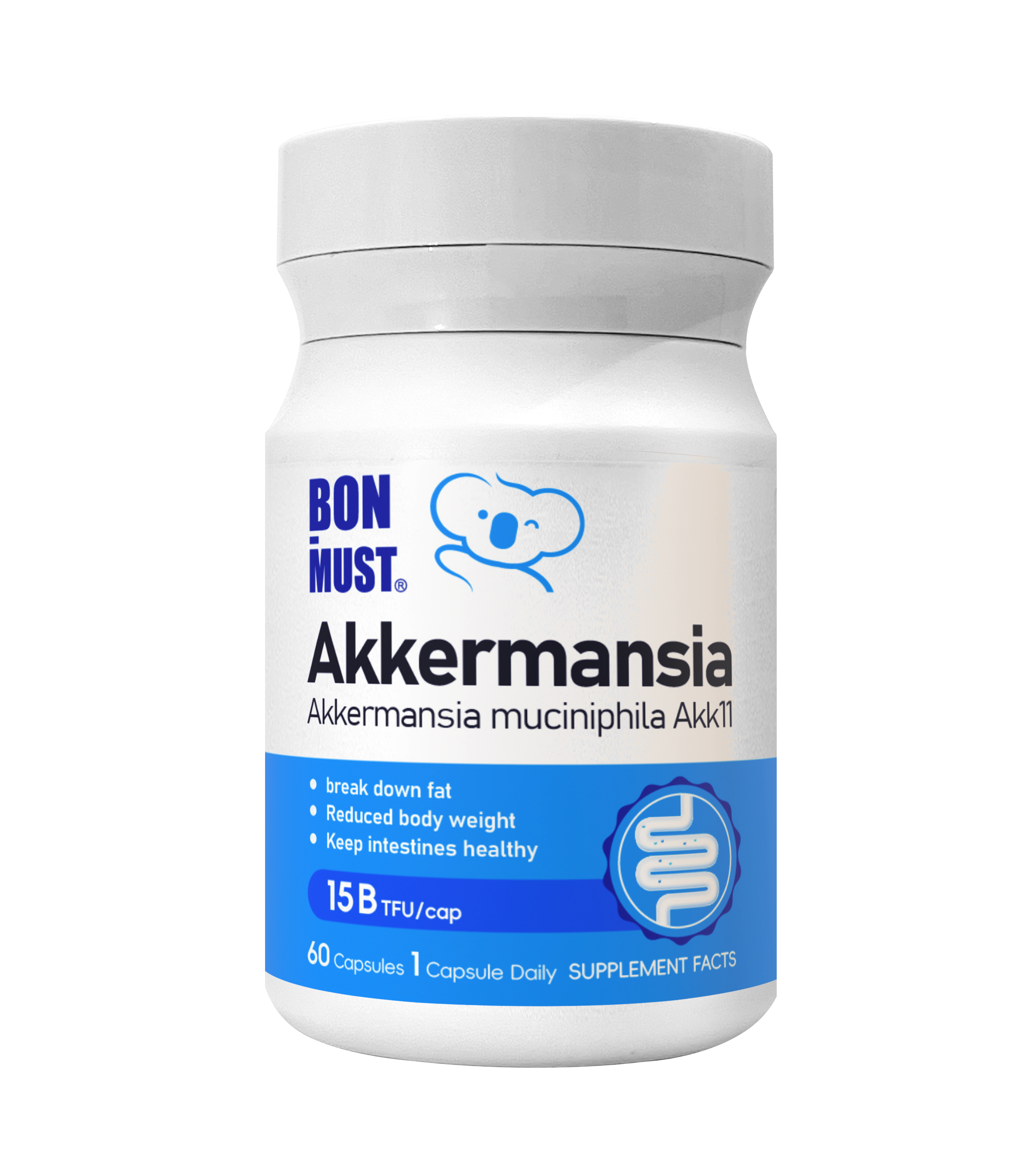 Akkermansia muciniphila Akk11